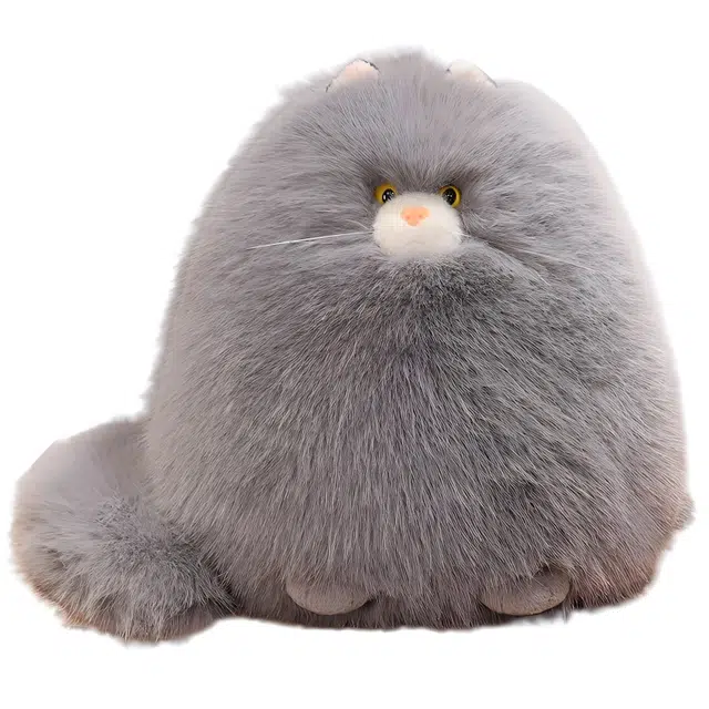 30cm40cm