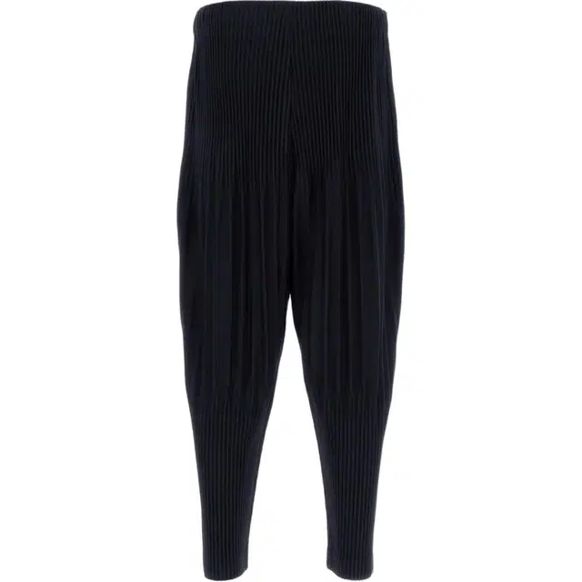 Homme Pliss Issey Miyake