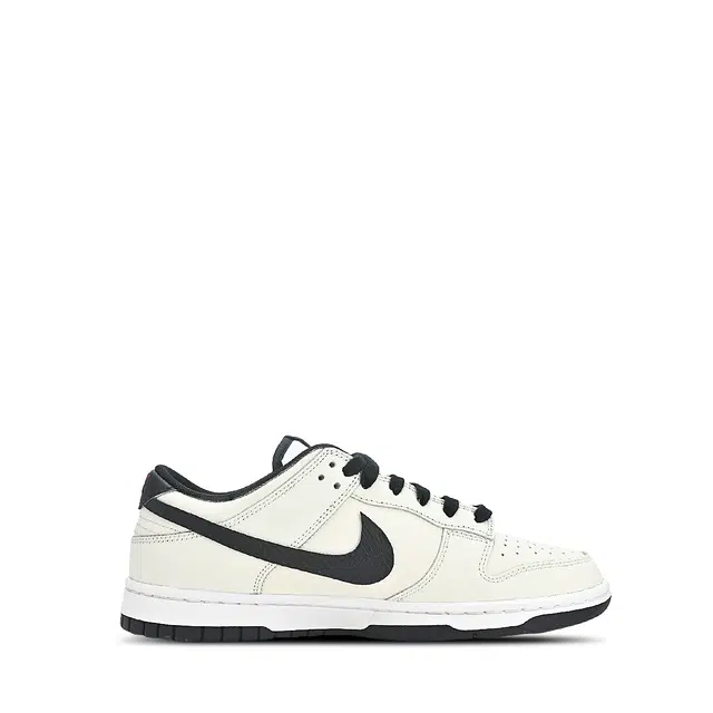 Nike Dunk LOW RETRO