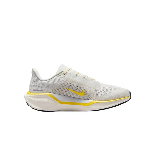 Nike Pegasus 41