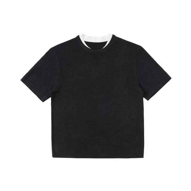 FDMWAVE T