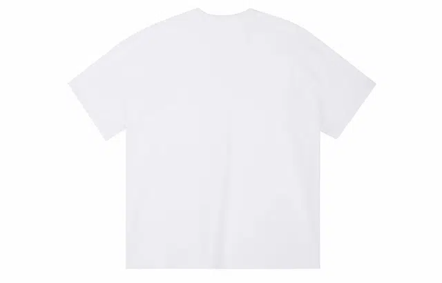 ICONS Lab T