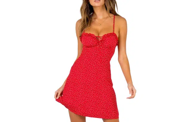 PRINCESS POLLY LOVE BIRDS MINI DRESS