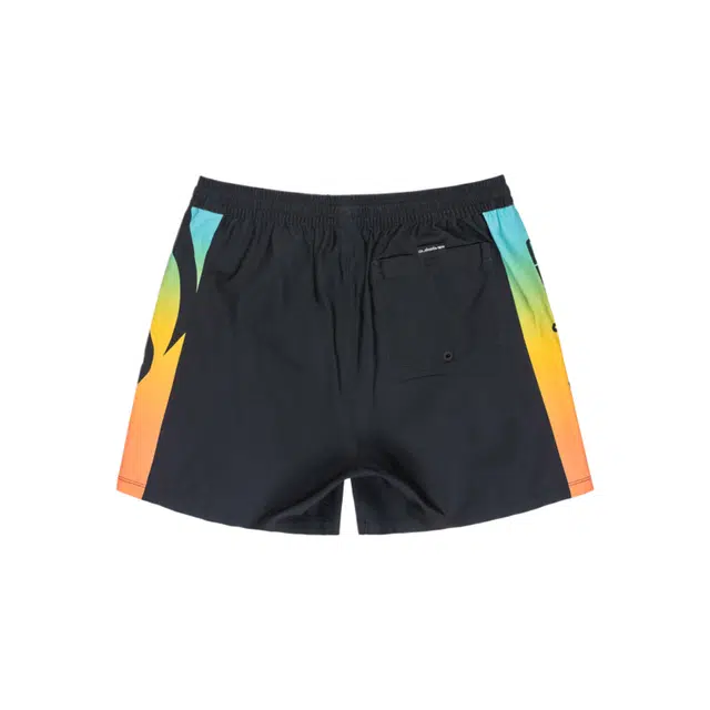 Quiksilver Everyday Holmes