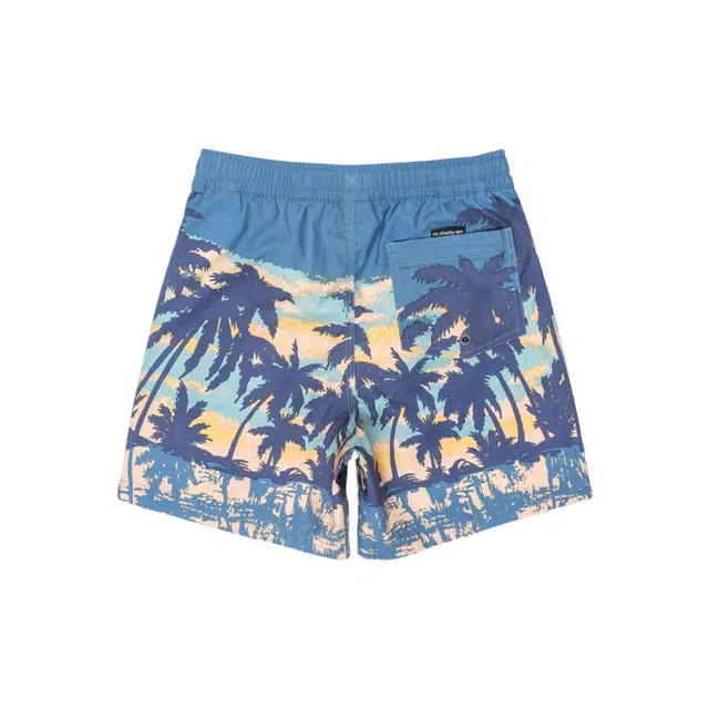 Quiksilver Everyday