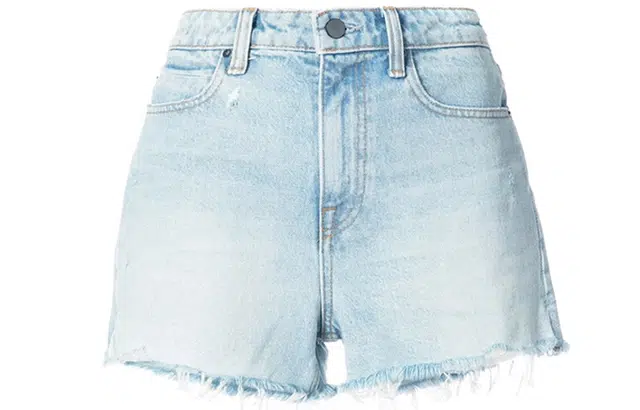 alexander wang Bite