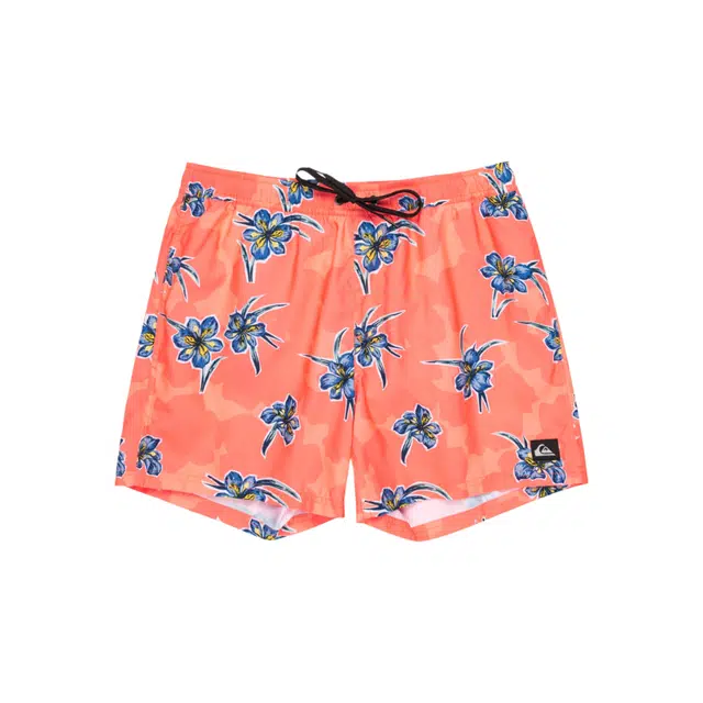 Quiksilver Everyday Straight