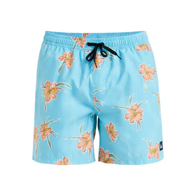 Quiksilver Everyday Straight