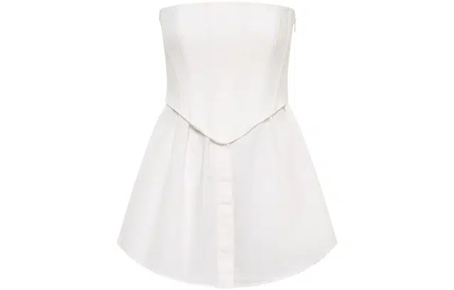 DION LEE