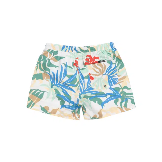 Quiksilver Everyday Straight