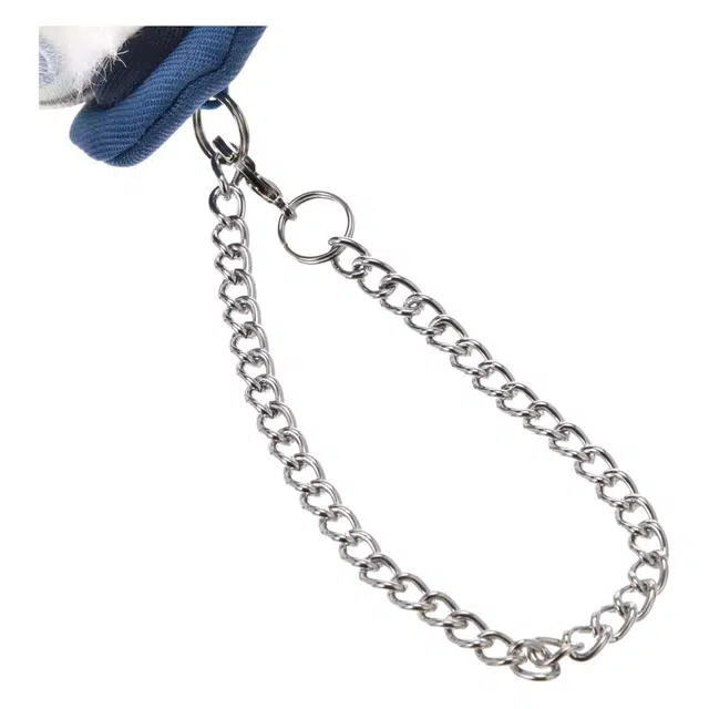 Disney OTONA CHARM
