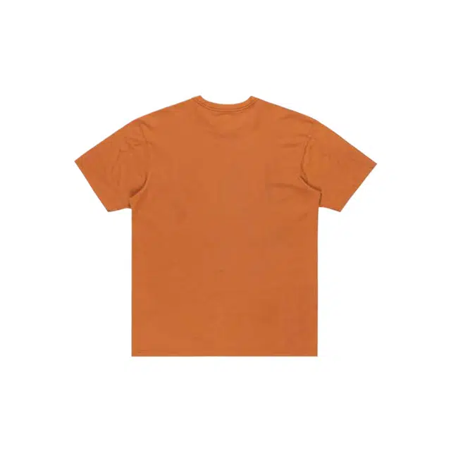 Quiksilver Salt Water T