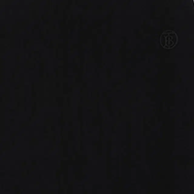 Burberry SS21 Logo