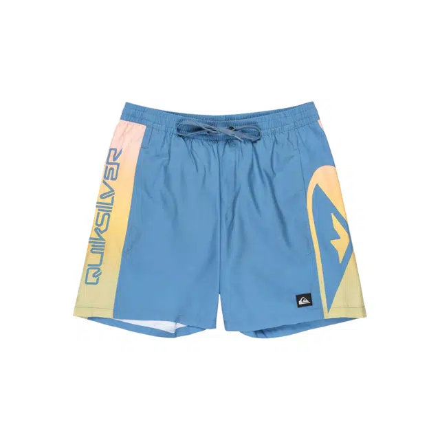 Quiksilver Everyday Holmes