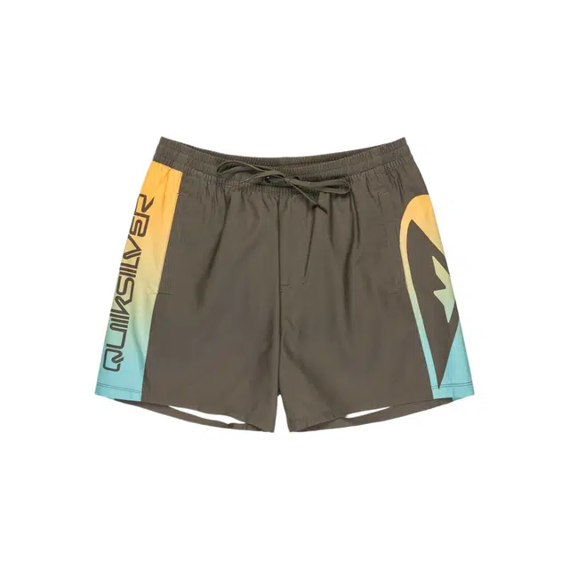Quiksilver Everyday Holmes
