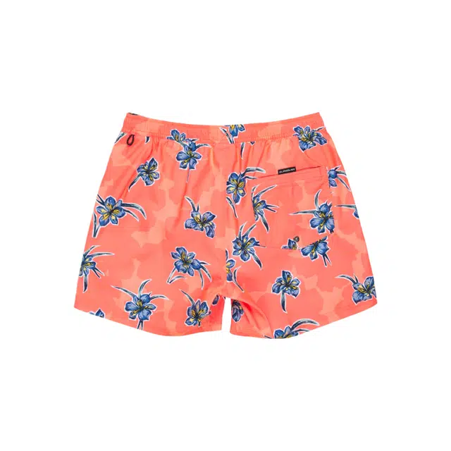 Quiksilver Everyday Straight