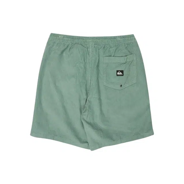 Quiksilver Taxer 18"