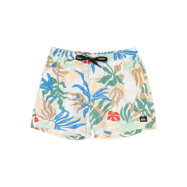 Quiksilver Everyday Straight