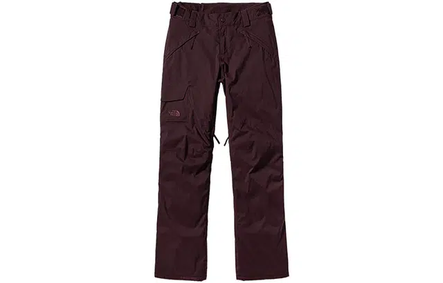 The North Face DryVent Ski Pants