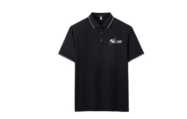 CSKS LogoPolo