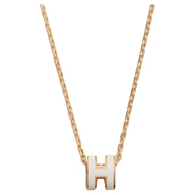 HERMES Logo - 12