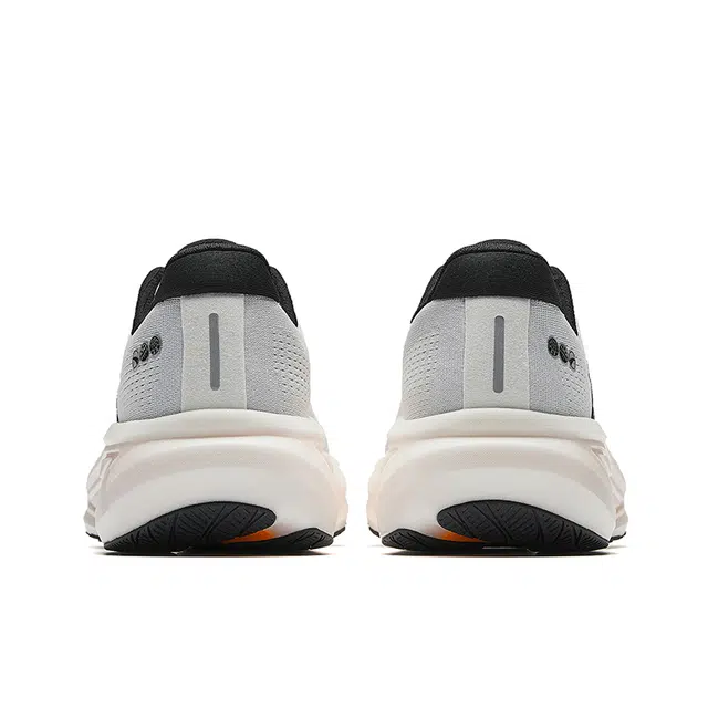 Anta 6