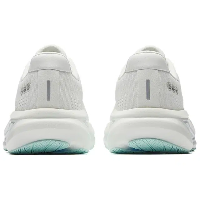 Anta 6