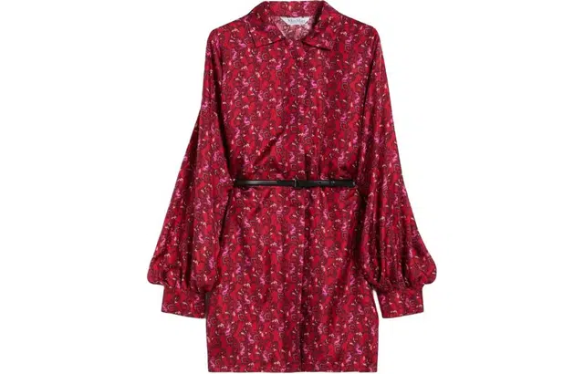 MaxMara Ozio Printed Silk Shirt Dress