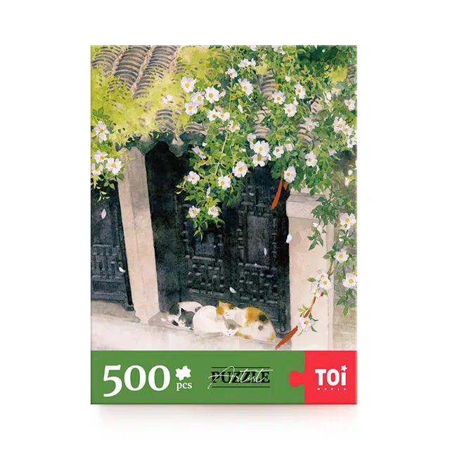 TOI 500pcs 23505