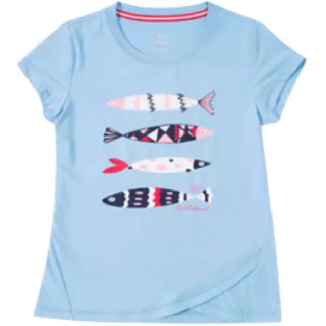 NORTHLAND PROFESSIONAL T