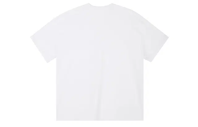ICONS Lab ICS T