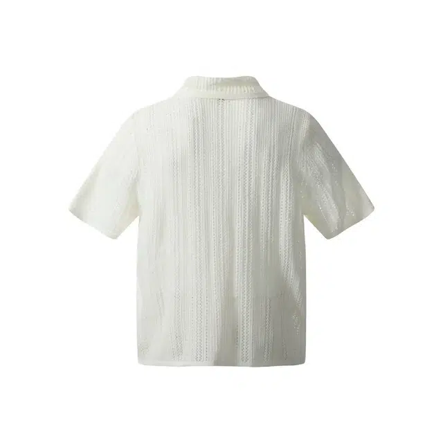 PVPVPV Polo