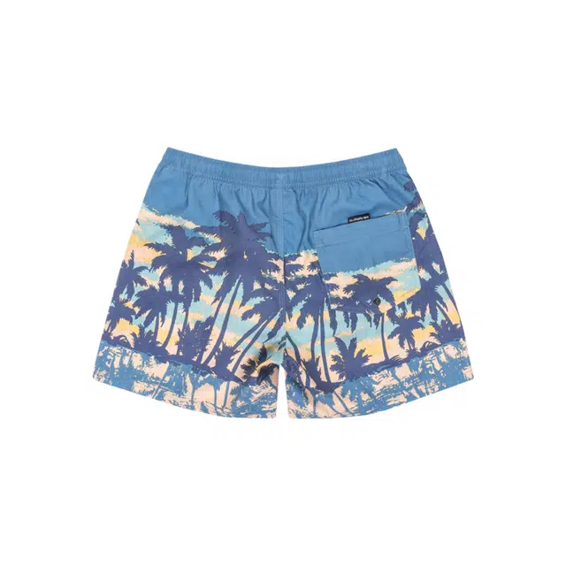 Quiksilver Everyday Straight