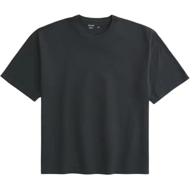 Hollister T