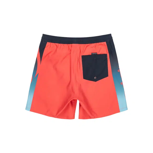Quiksilver Everyday Holmes