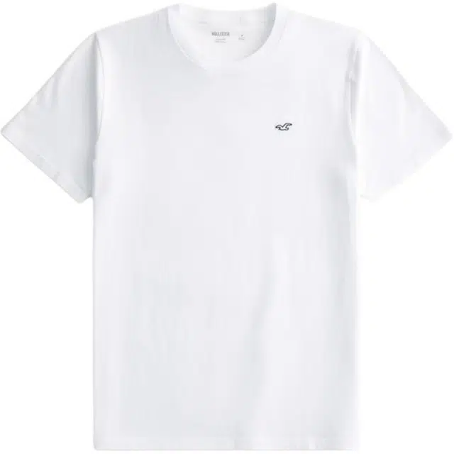 Hollister T