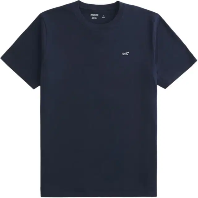 Hollister T