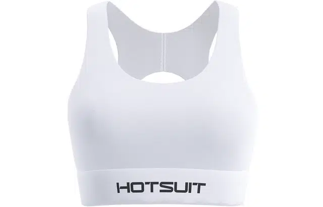 HOTSUIT Logo