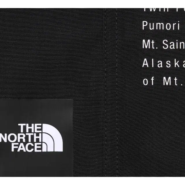 Supreme x THE NORTH FACE SS24 WEEK3 NYLON SHORT
