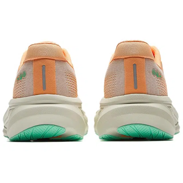 Anta 6