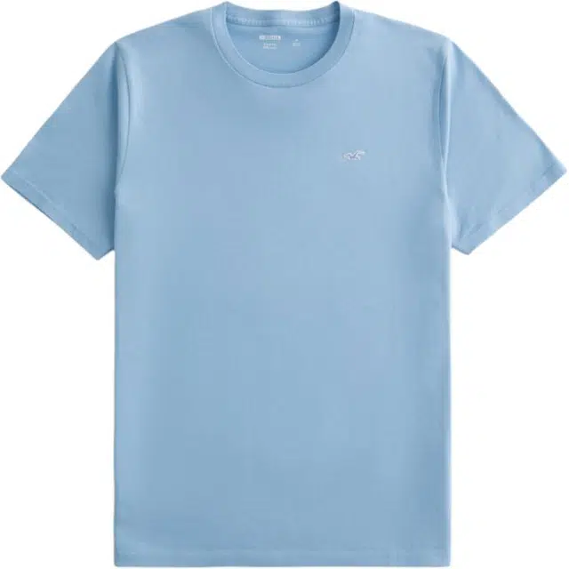 Hollister T