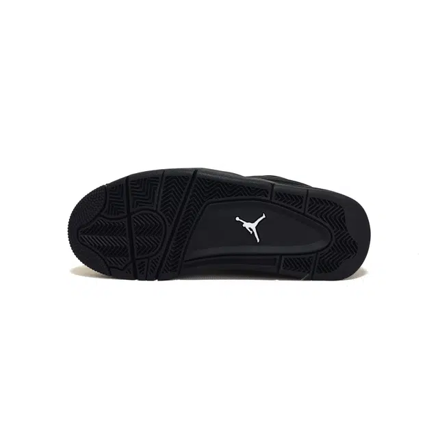 Jordan Air Jordan 4