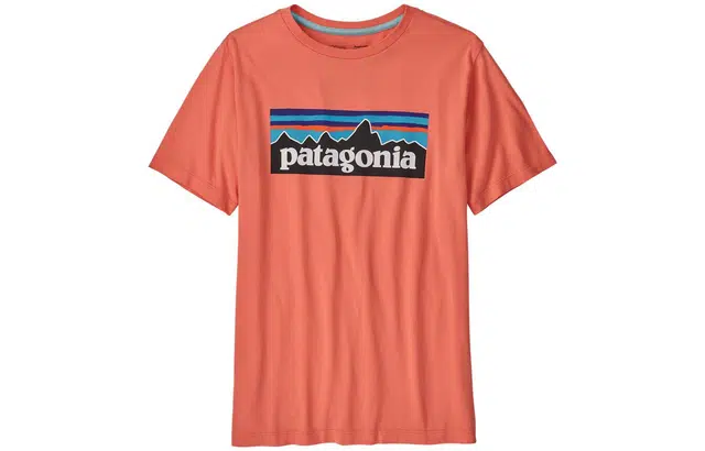 patagonia T