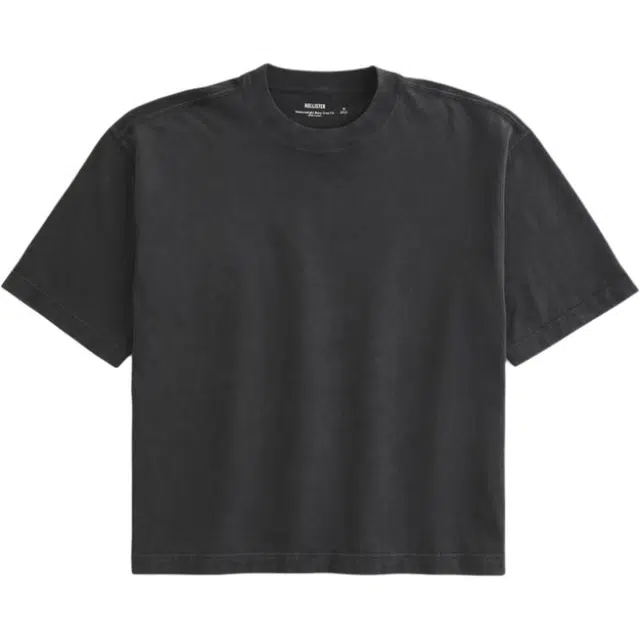 Hollister T