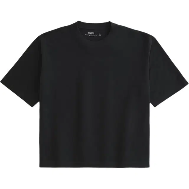 Hollister T