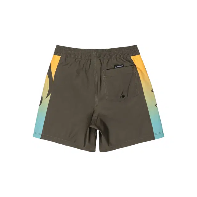 Quiksilver Everyday Holmes