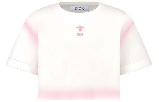 DIOR FW24 LogoT