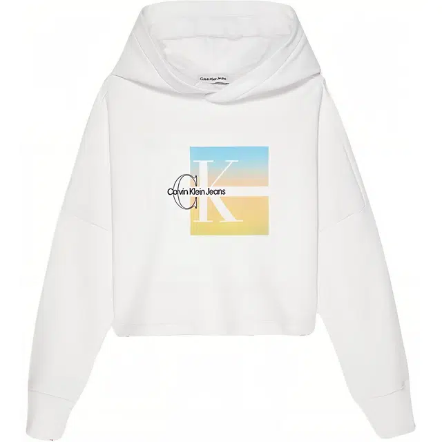 CALVIN KLEIN Boxy Logo Graphic Hoodie