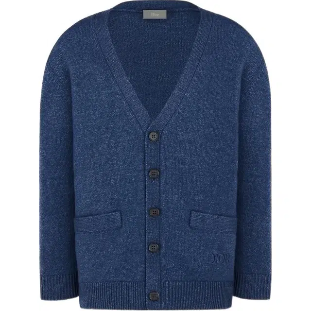 DIOR FW22 V