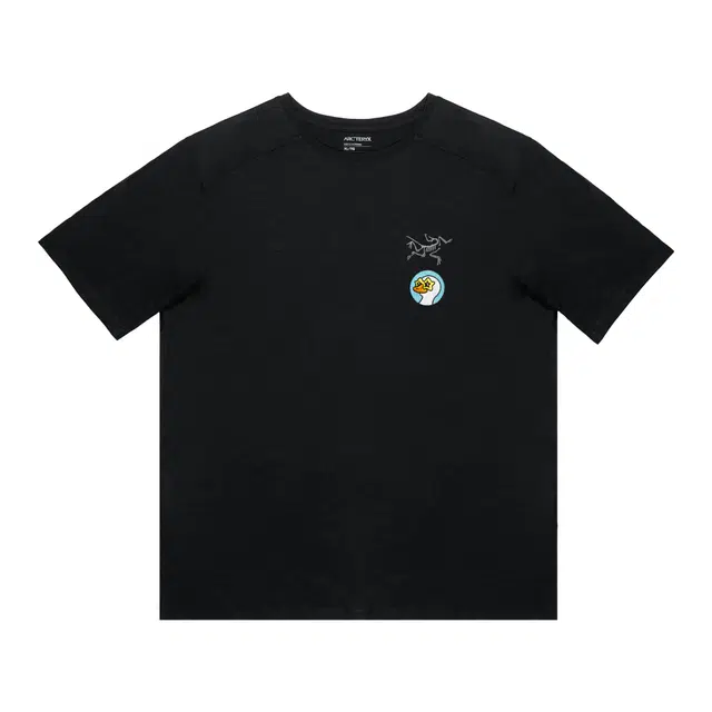 Arcteryx Extraordinary logoT